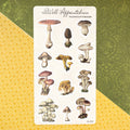 Mushroom Forager Sticker Sheet (24-003)