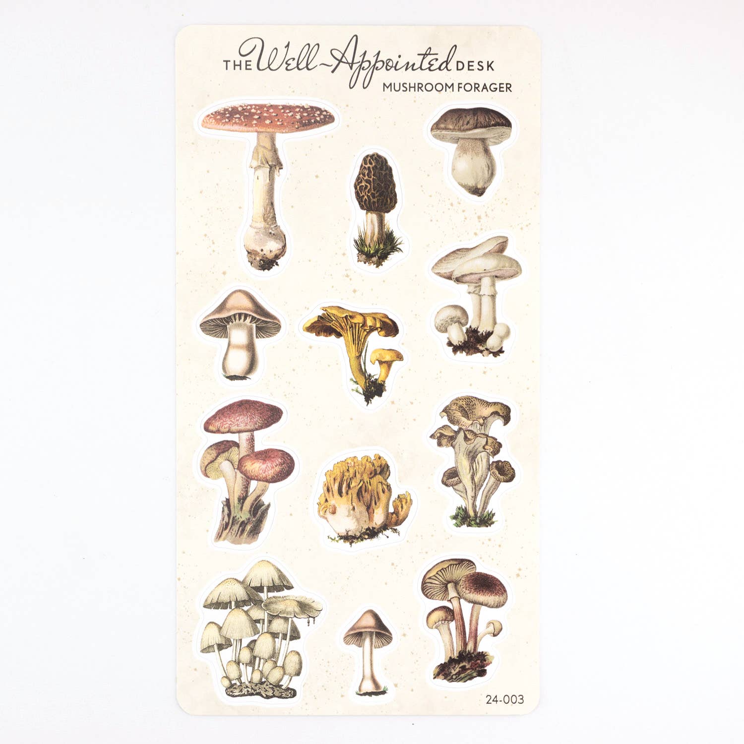 Mushroom Forager Sticker Sheet (24-003)